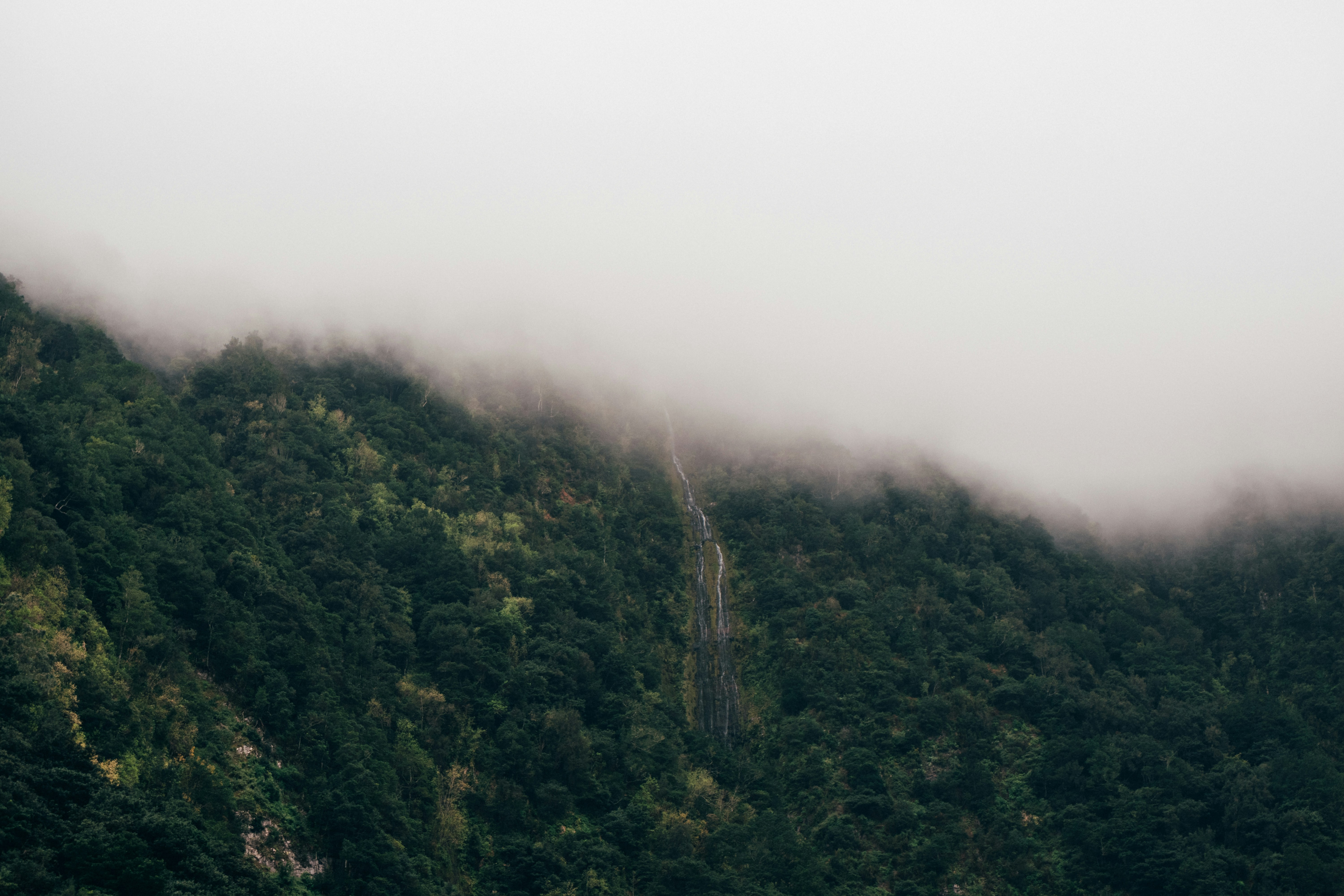 Photo by snapshot_journey