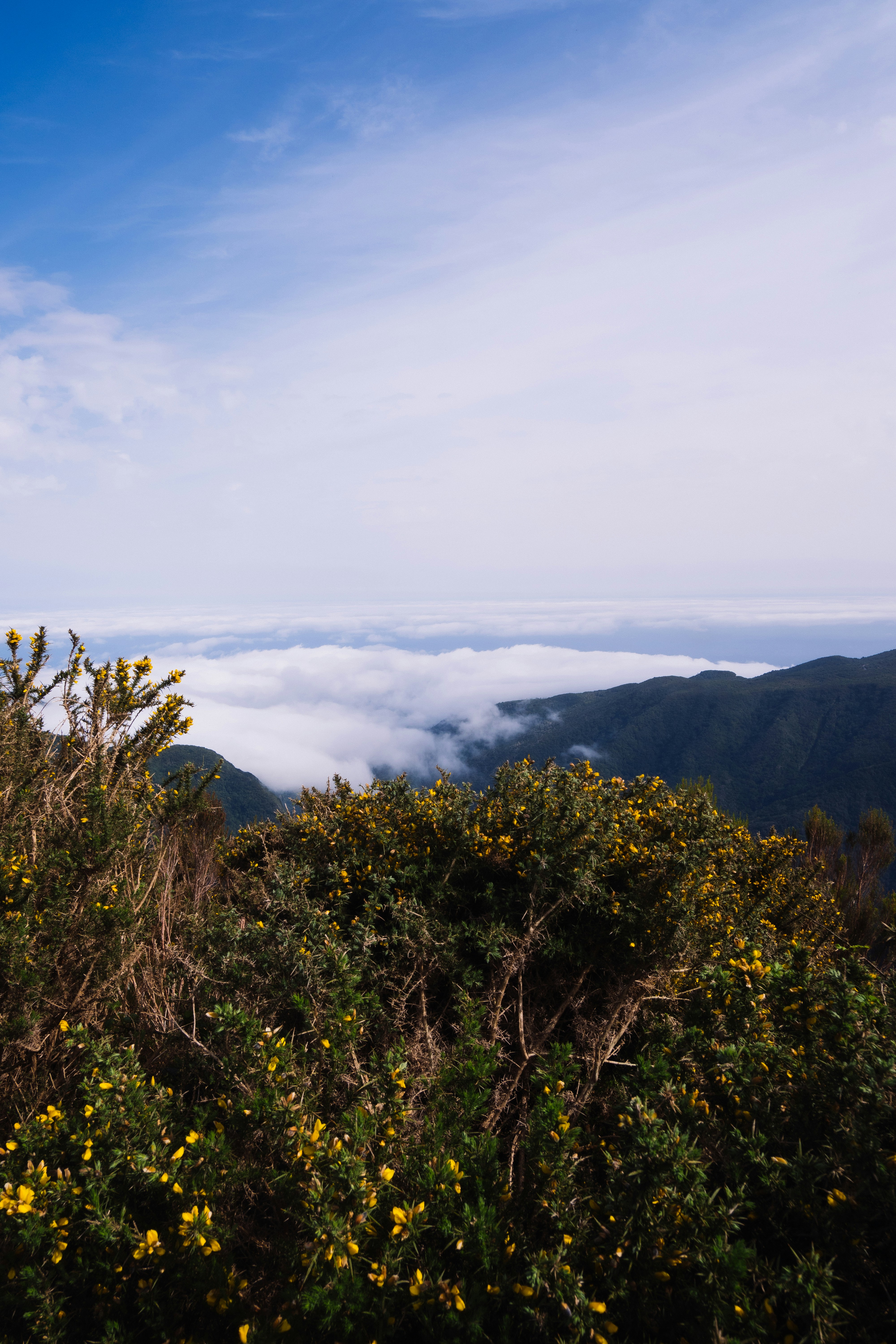 Photo by snapshot_journey