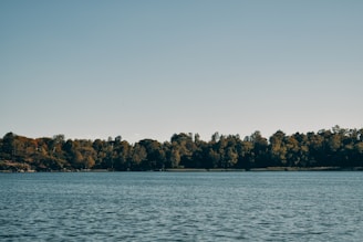 a body of water with trees in the background