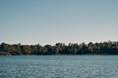 a body of water with trees in the background