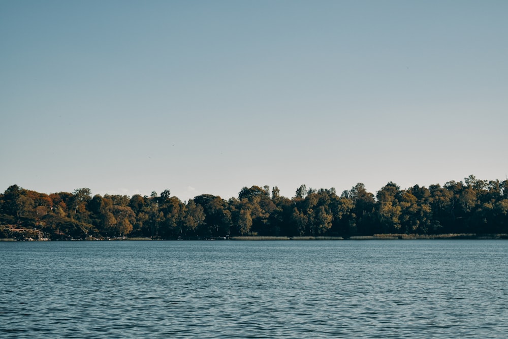 a body of water with trees in the background