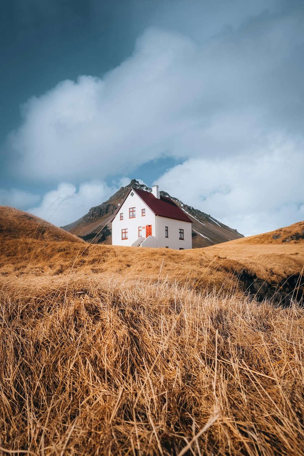 a house in a field with a mountain in the background