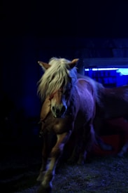 A strong and graceful horse with a light mane stands illuminated against a dark background. The setting appears to have a mystical ambiance with the presence of blue lighting.