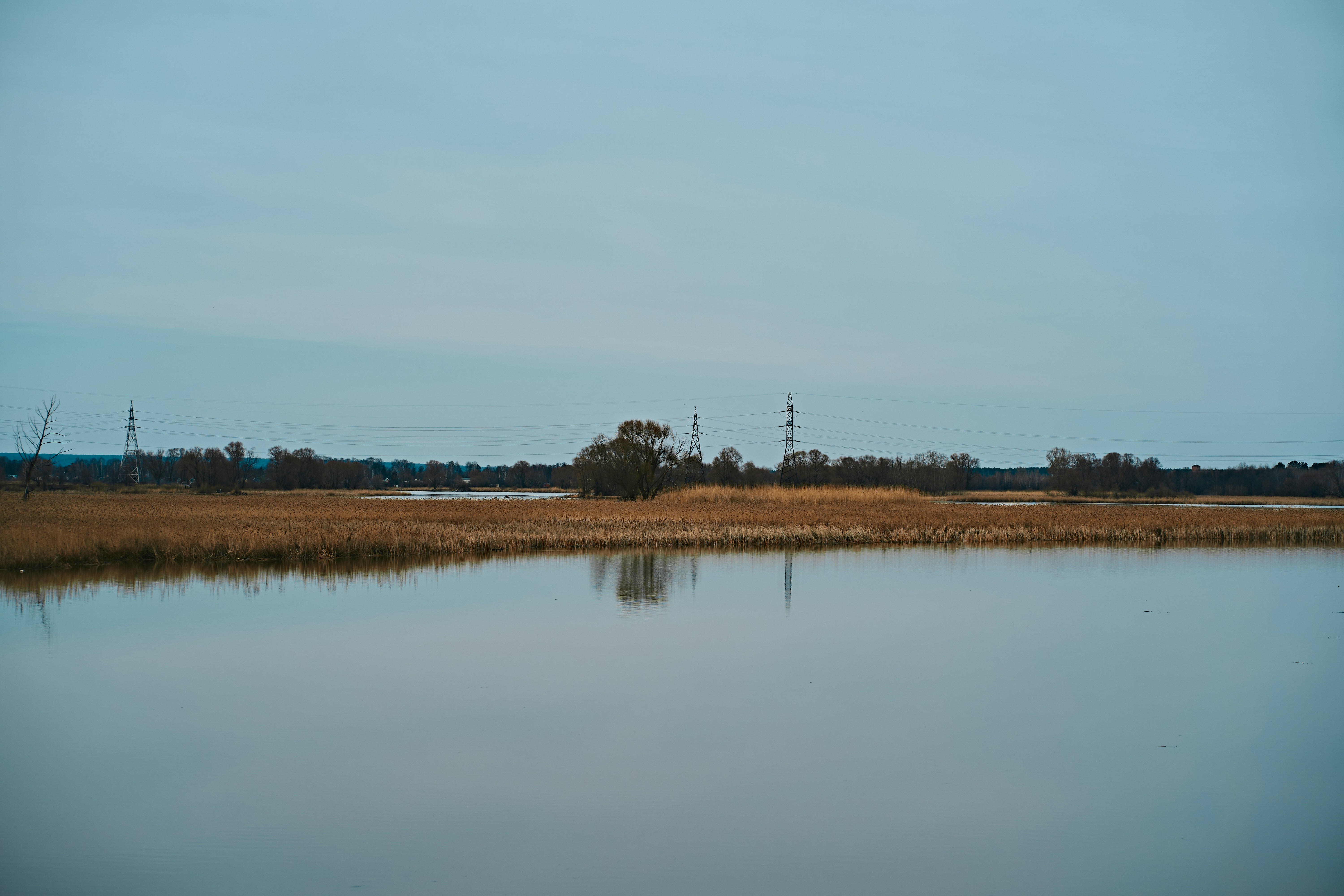 photo-1680472303012-7c7be83c0d56?ixid=M3wxMjA3fDB8MXxzZWFyY2h8OHx8bm9ydGhmaWVsZC1zdWZmb2xrLnNlY3VyZS1kYnByaW1hcnkuY29tfGVufDB8fHx8MTc2MDAwNzI3NHww\u0026ixlib=rb-4.1.0