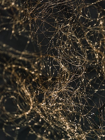 GigaBrain-0 kết hợp World Model và RL để huấn luyện VLA hiệu quả hơn Imitation Learning thuần túy