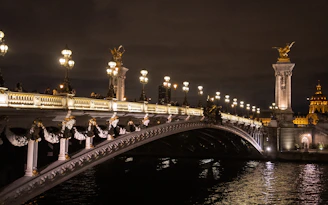 Pont Alexandre III la nuit