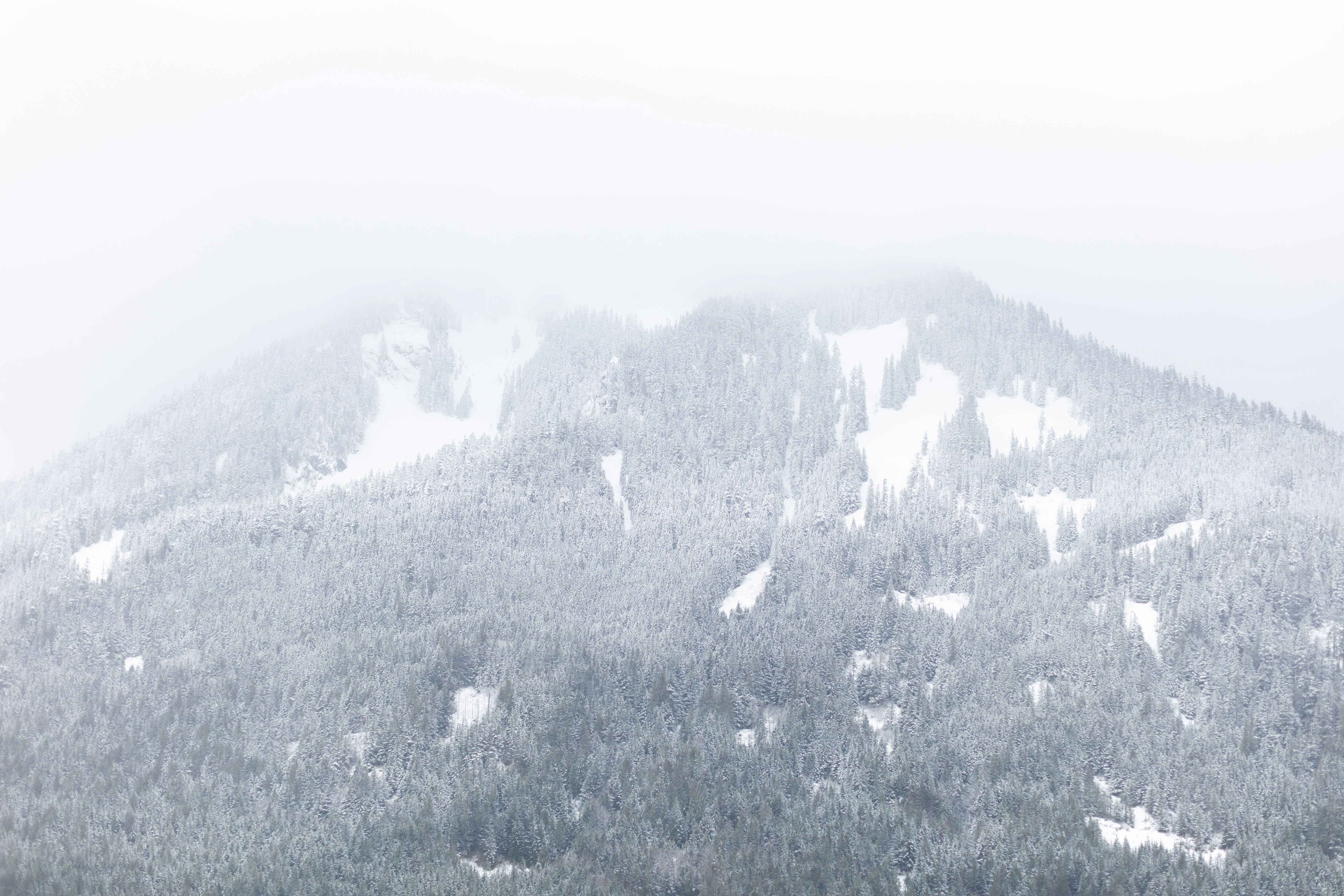 Photo by parkerwichelmann