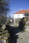 Pathway lined with olive trees leading to the entrance of a charming stone cottage.