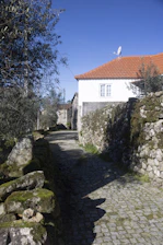 Pathway lined with olive trees leading to the entrance of a charming stone cottage.