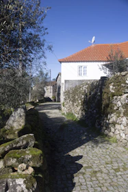 A quiet cobblestone path leads through olive groves toward the elegant villa entrance, inviting guests inside.