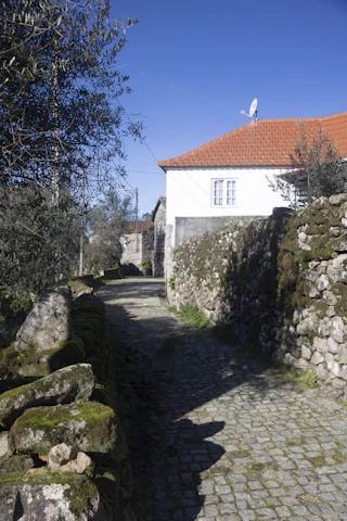 A quiet cobblestone path leads through olive groves toward the elegant villa entrance, inviting guests inside.