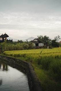 a large grassy field next to a body of water