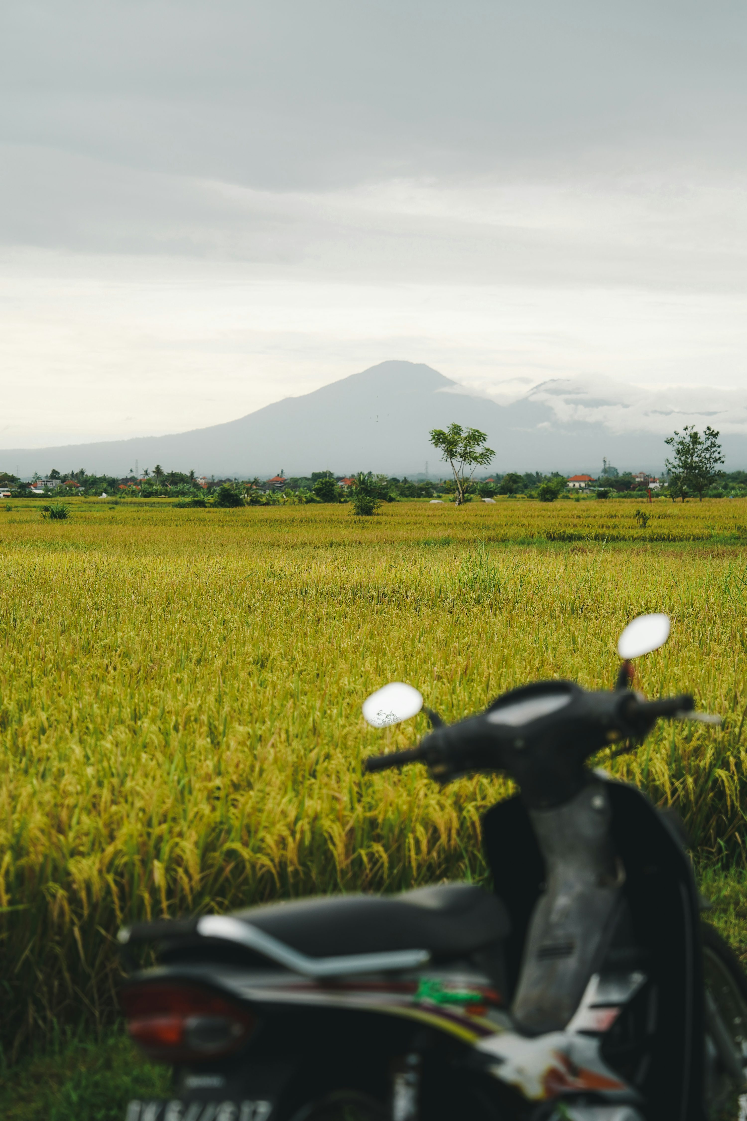 une moto garée devant un champ verdoyant