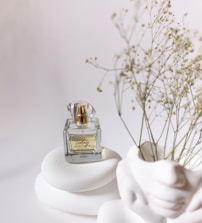 Elegant perfume bottle with dark glass and gold details on a minimalist white background.