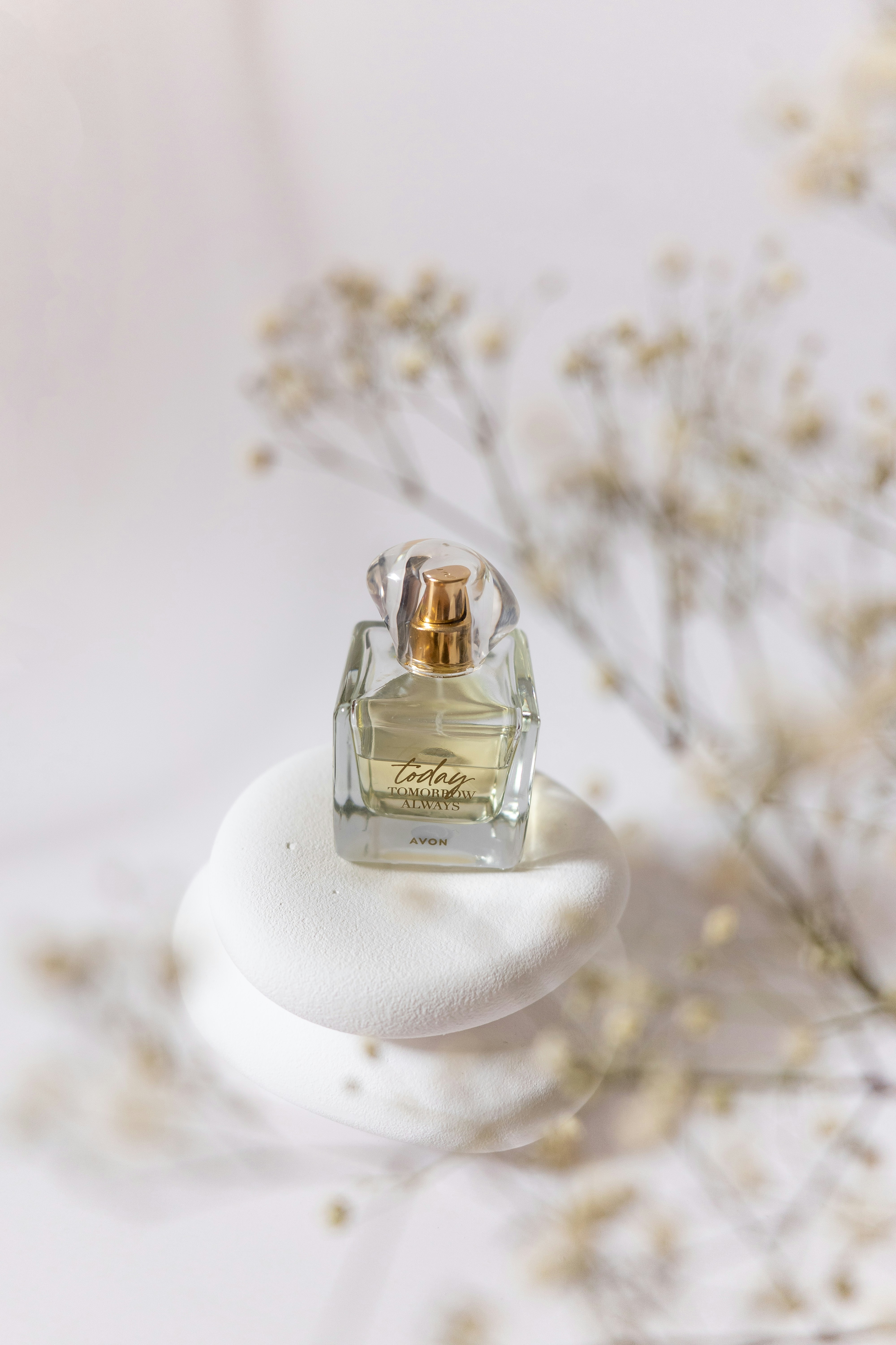 Photo by caspersomia