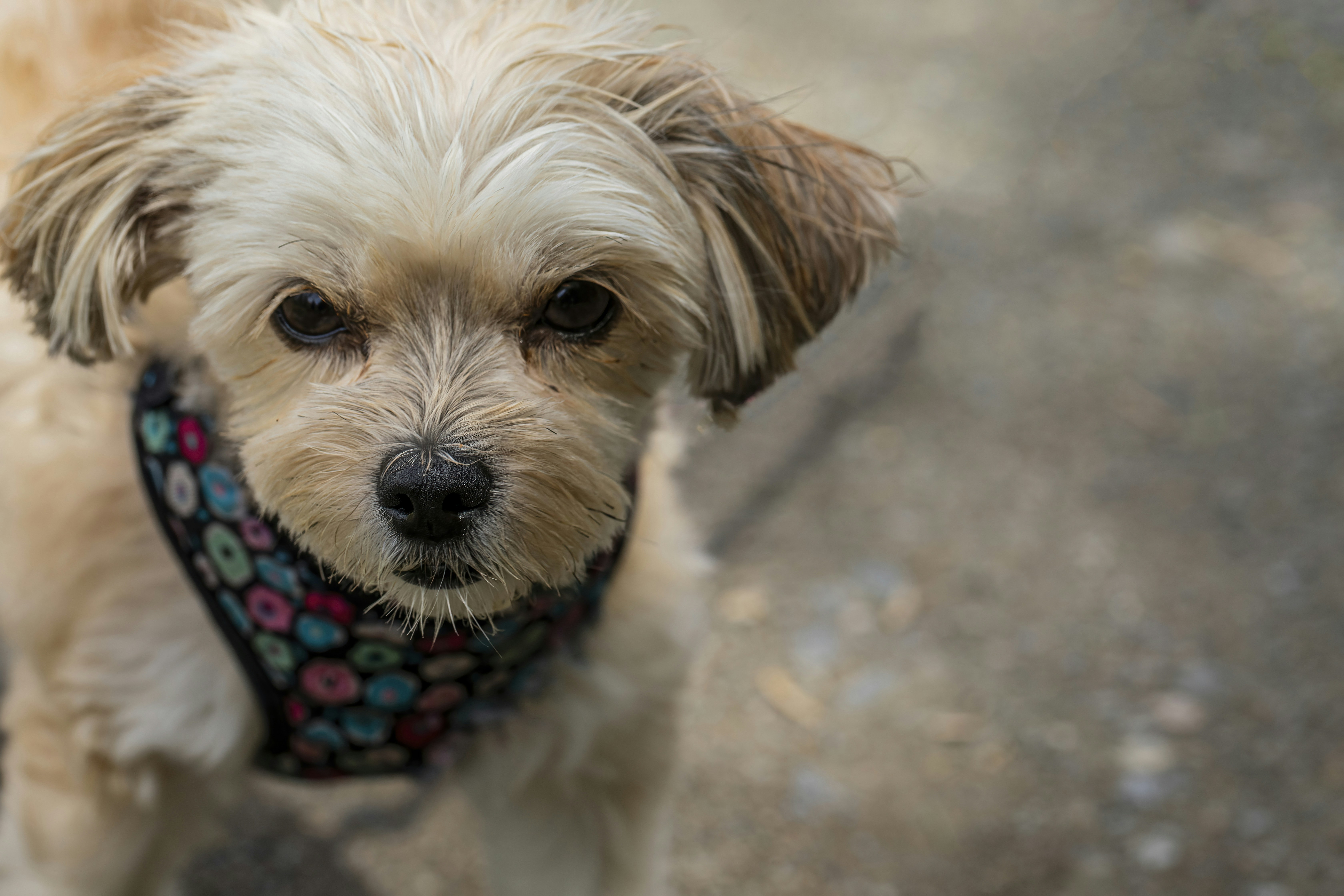 Photo by camerauthor