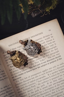 A detailed image features an open book with text visible on a page. Resting on the book are two intricately designed metallic objects resembling wolves with floral accents, one in a golden hue and the other in a silvery tone. Above the book, partial view of green plants is visible, adding a natural element to the scene.