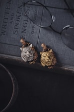 A pair of eyeglasses rests on top of a textured, dark-colored book. Next to the glasses are two intricately designed metallic brooches featuring lion faces, one in silver and the other in gold, surrounded by floral elements.
