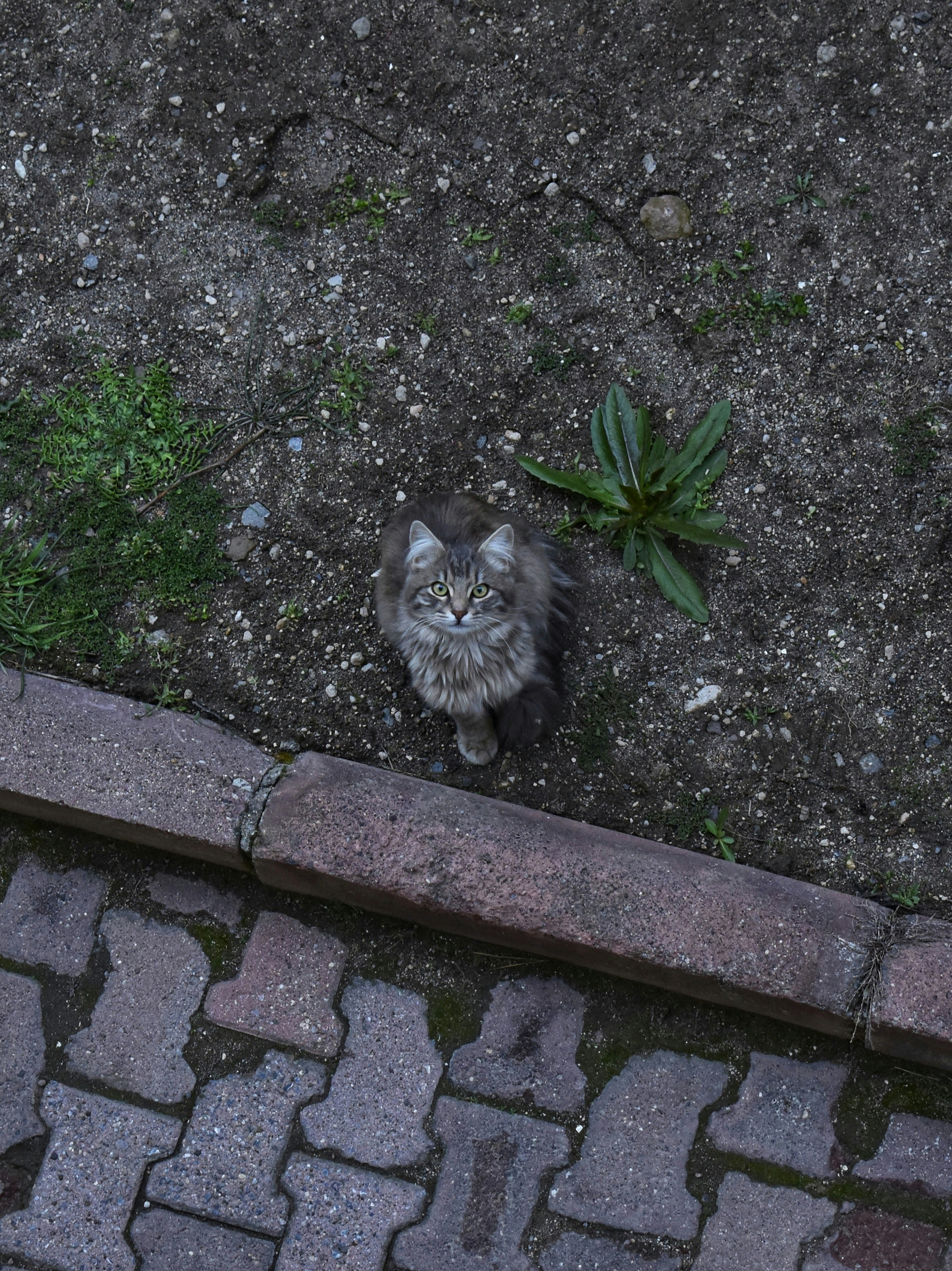 Photo by mustafakonuk