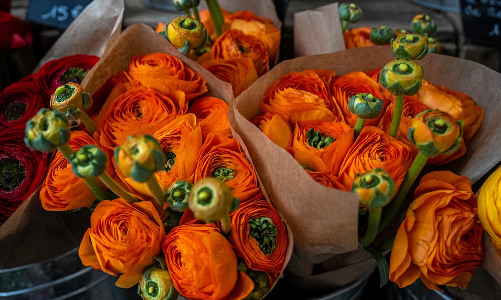 a bunch of orange flowers sitting on top of each other