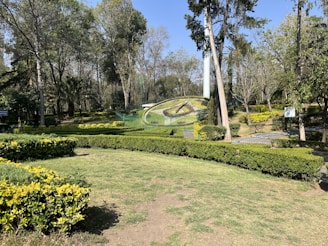 A landscaped garden area with well-maintained lawns and various types of green bushes and plants. The centerpiece is a large floral clock surrounded by a small fence. Tall trees and dense foliage provide a lush backdrop.