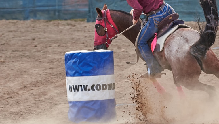 A horse and rider are turning sharply around a blue and white barrel in an equestrian event. The rider is wearing a maroon shirt and blue jeans, while the horse is equipped with a saddle and breast collar. Dust is kicked up as the horse makes the maneuver, indicating speed and agility. The backdrop consists of a sandy arena with a partially visible blue fence.