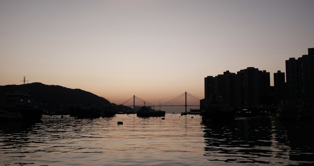 a body of water with a bridge in the background