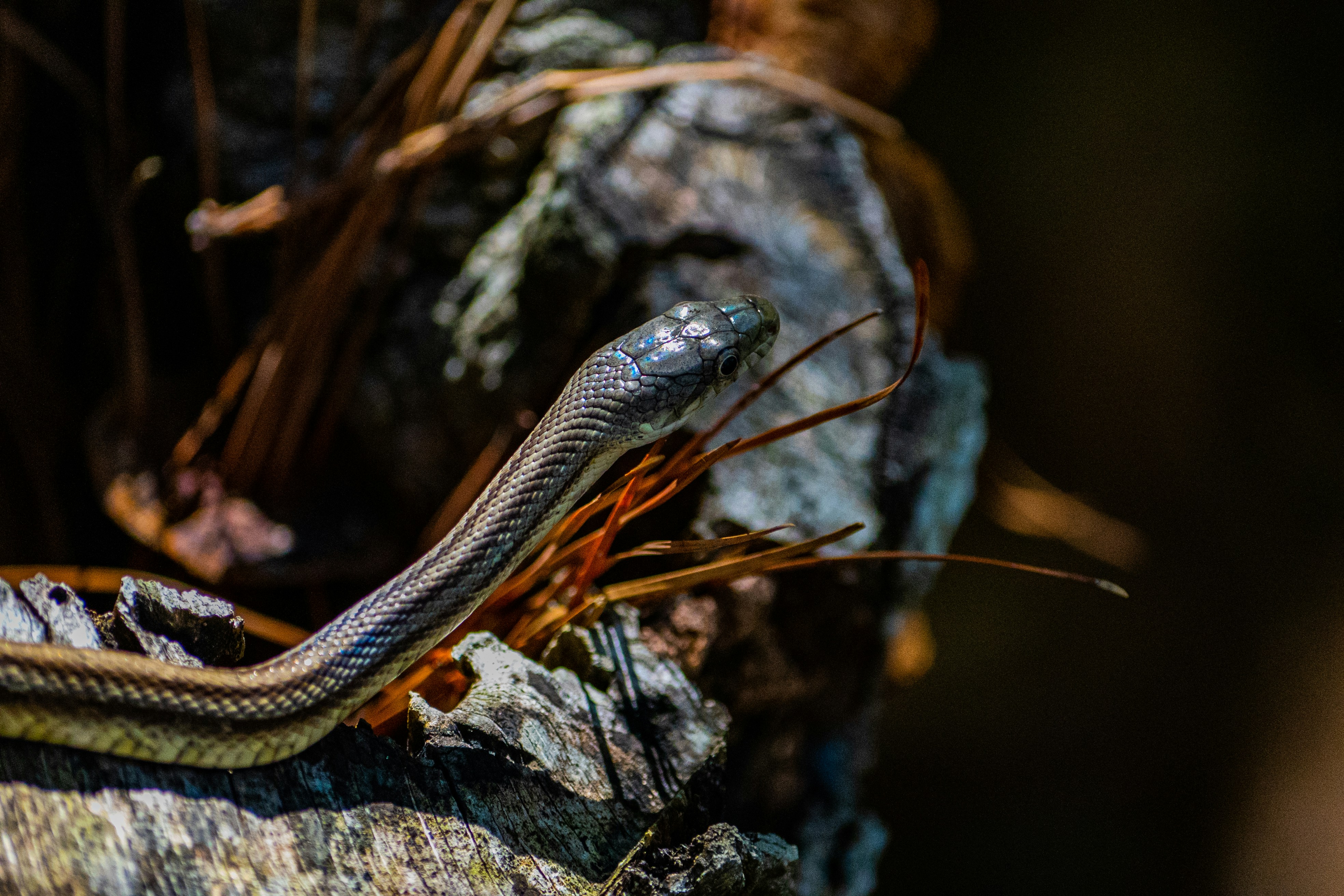 Photo by afewgoodpixels