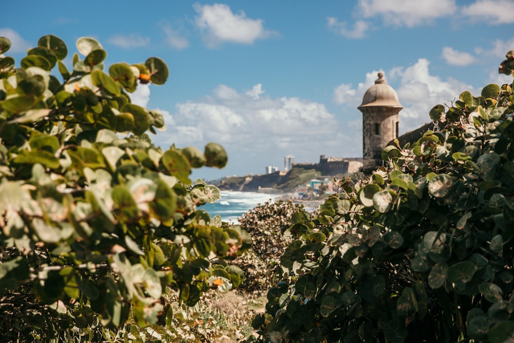 a view of the ocean and a tower in the distance