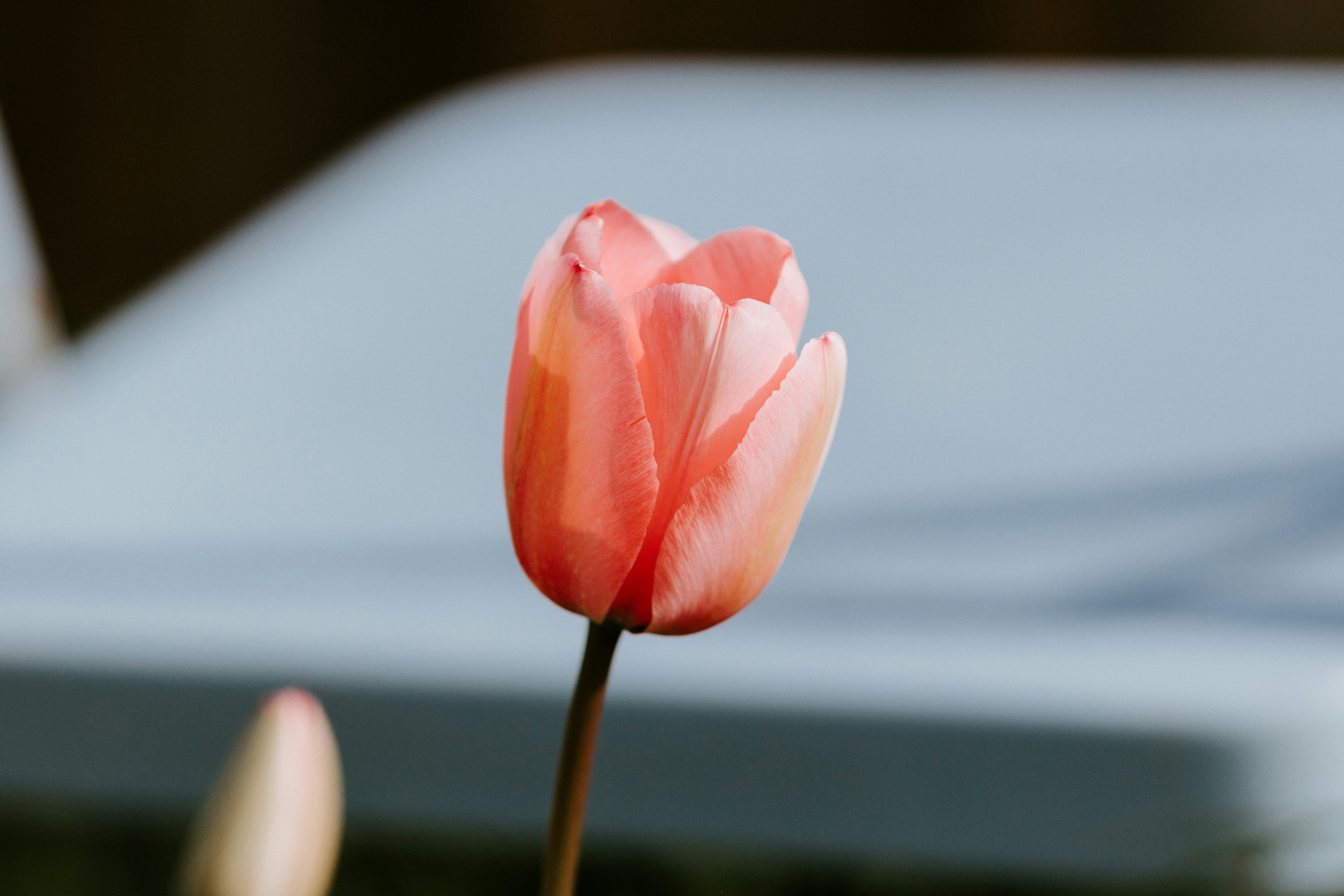 Photo by caleb_woods