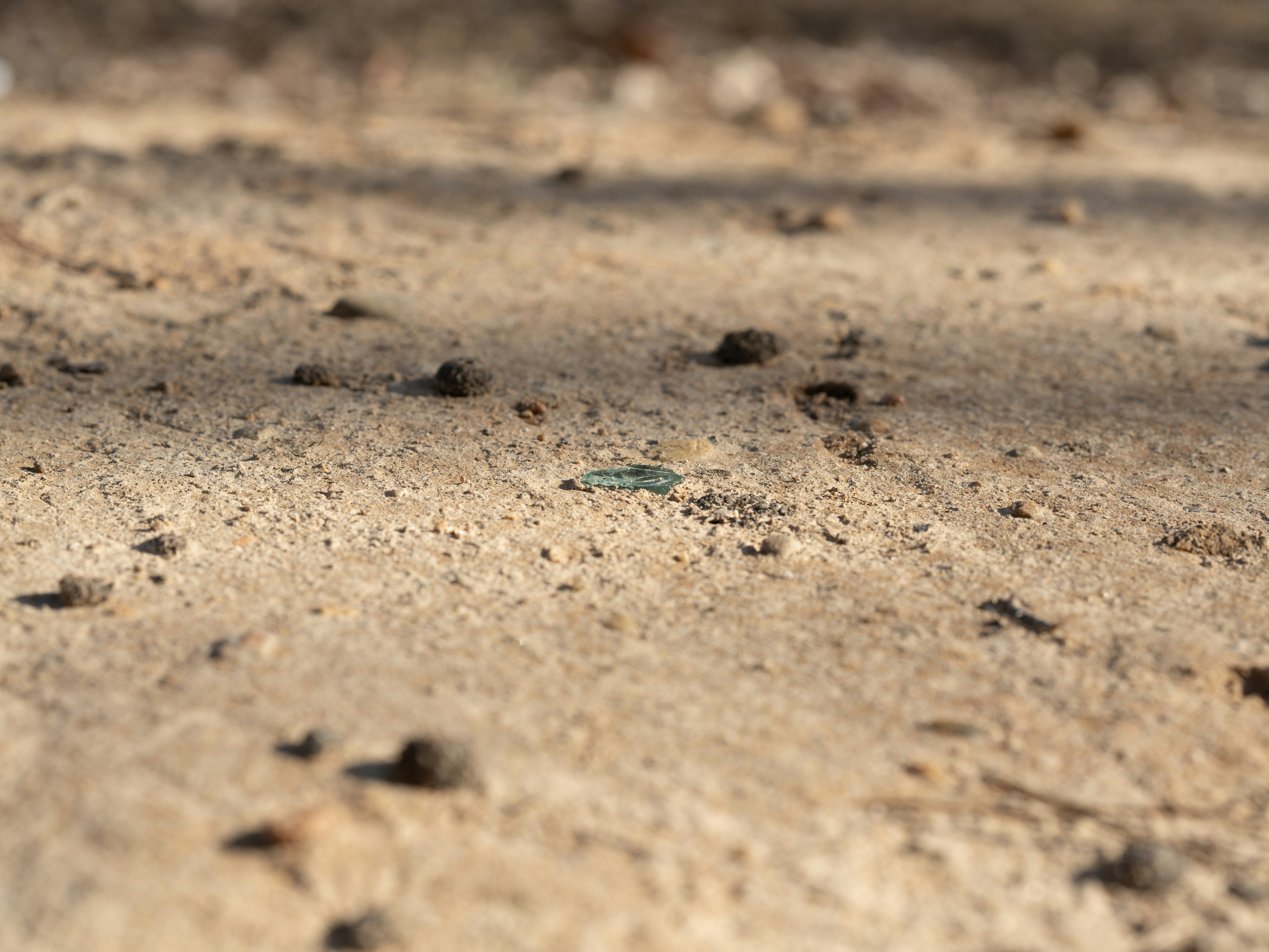 Photo by superfluousfacsimile