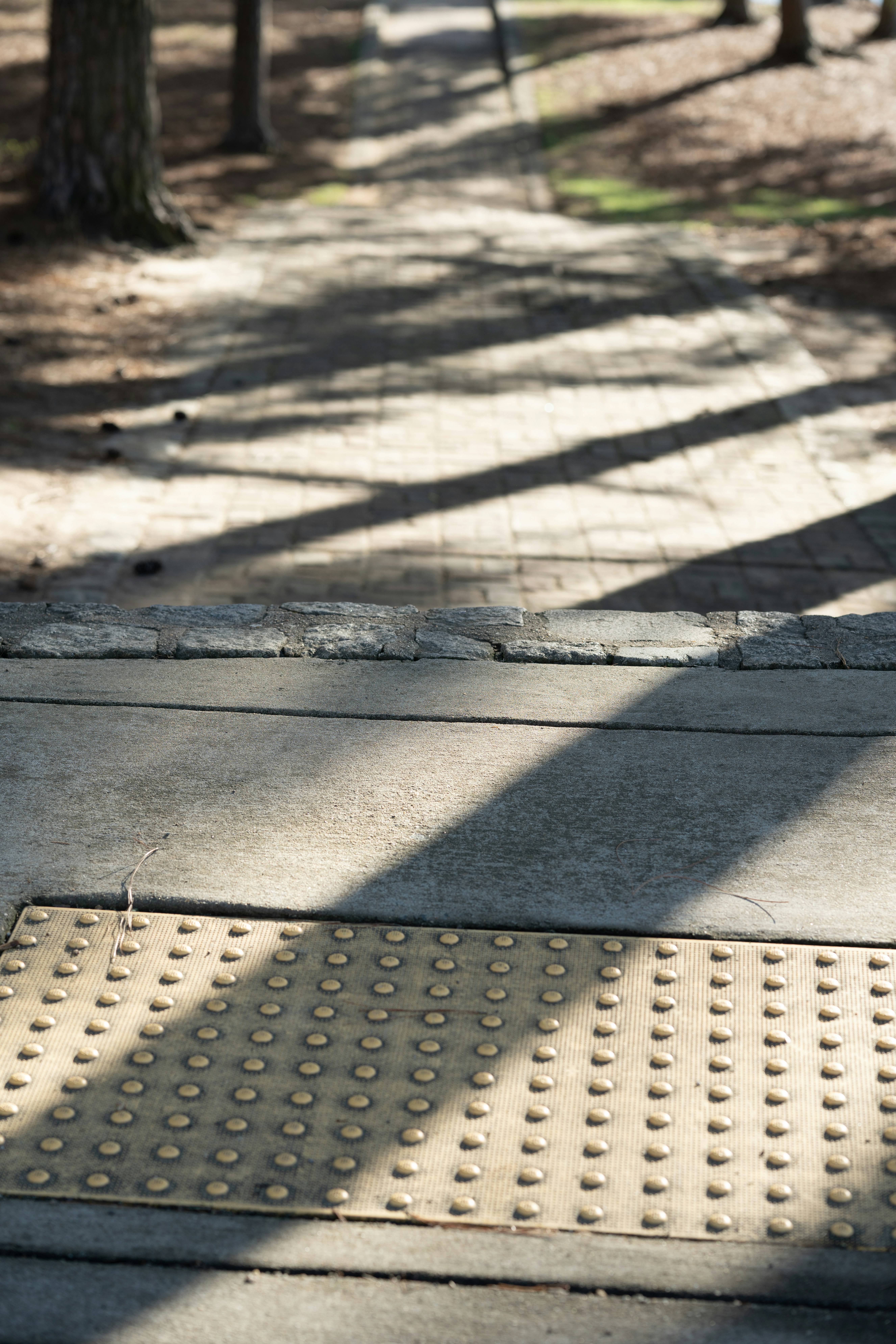 Photo by superfluousfacsimile