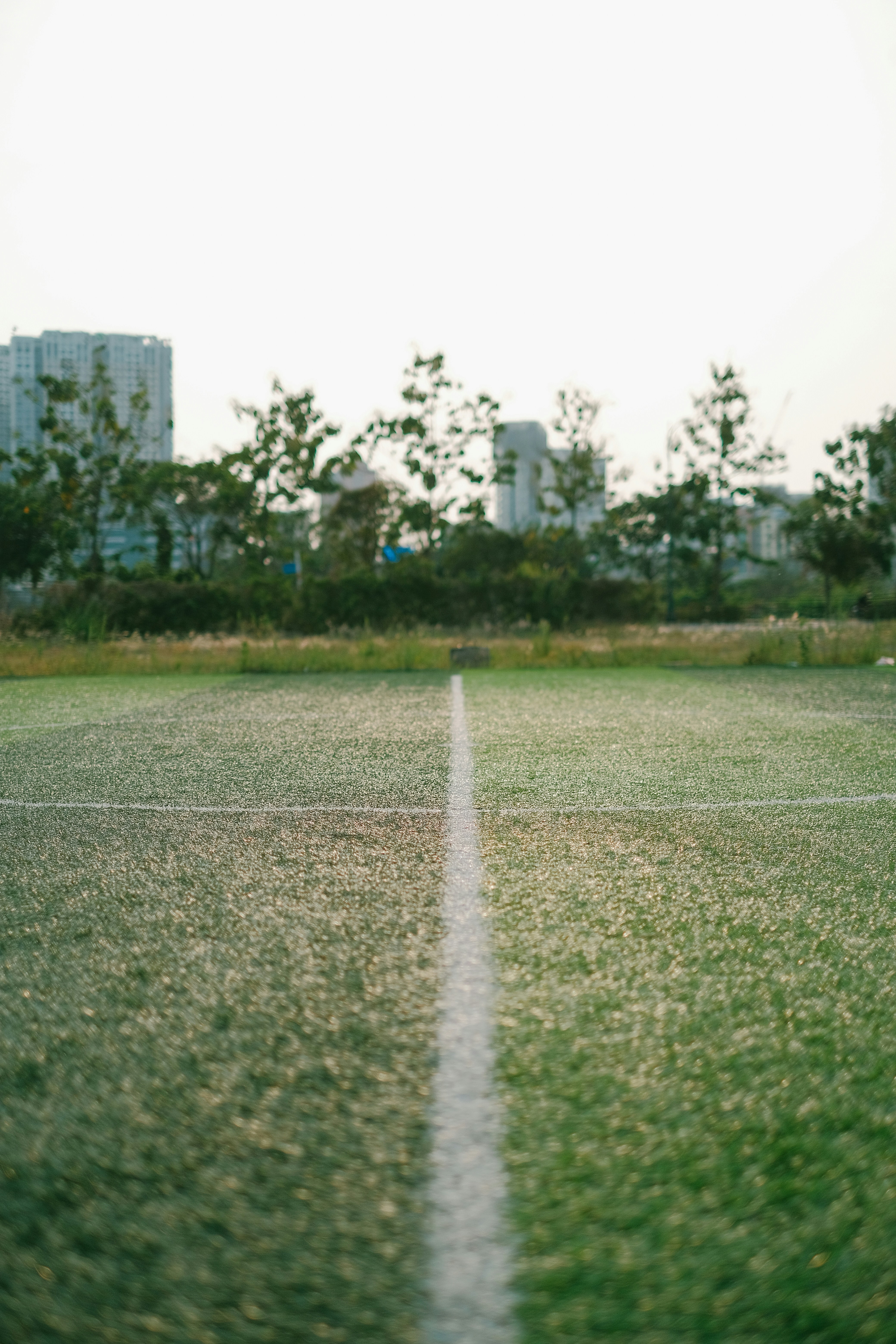 Photo by nguyentrungnguyen