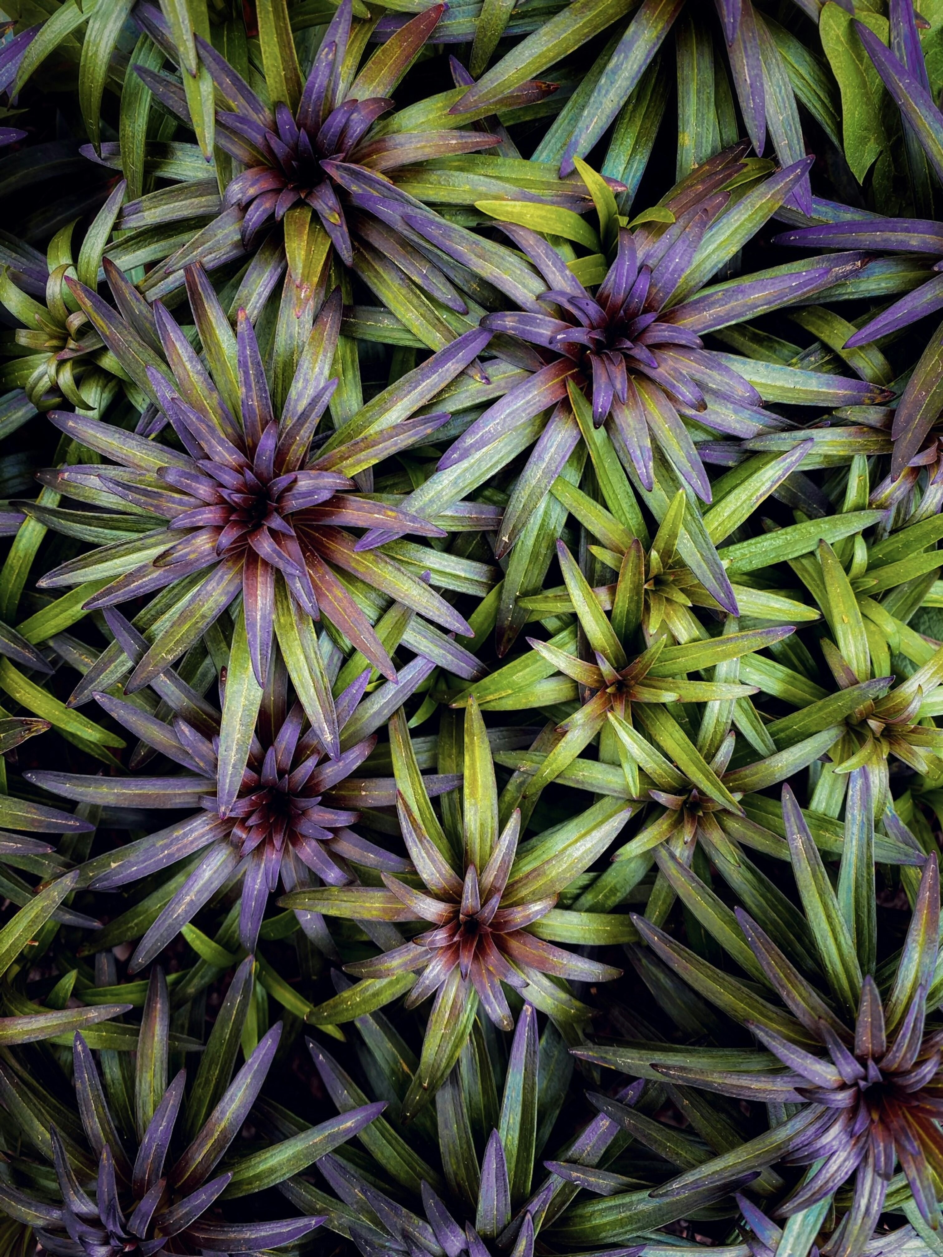 Photo by eugene_golovesov