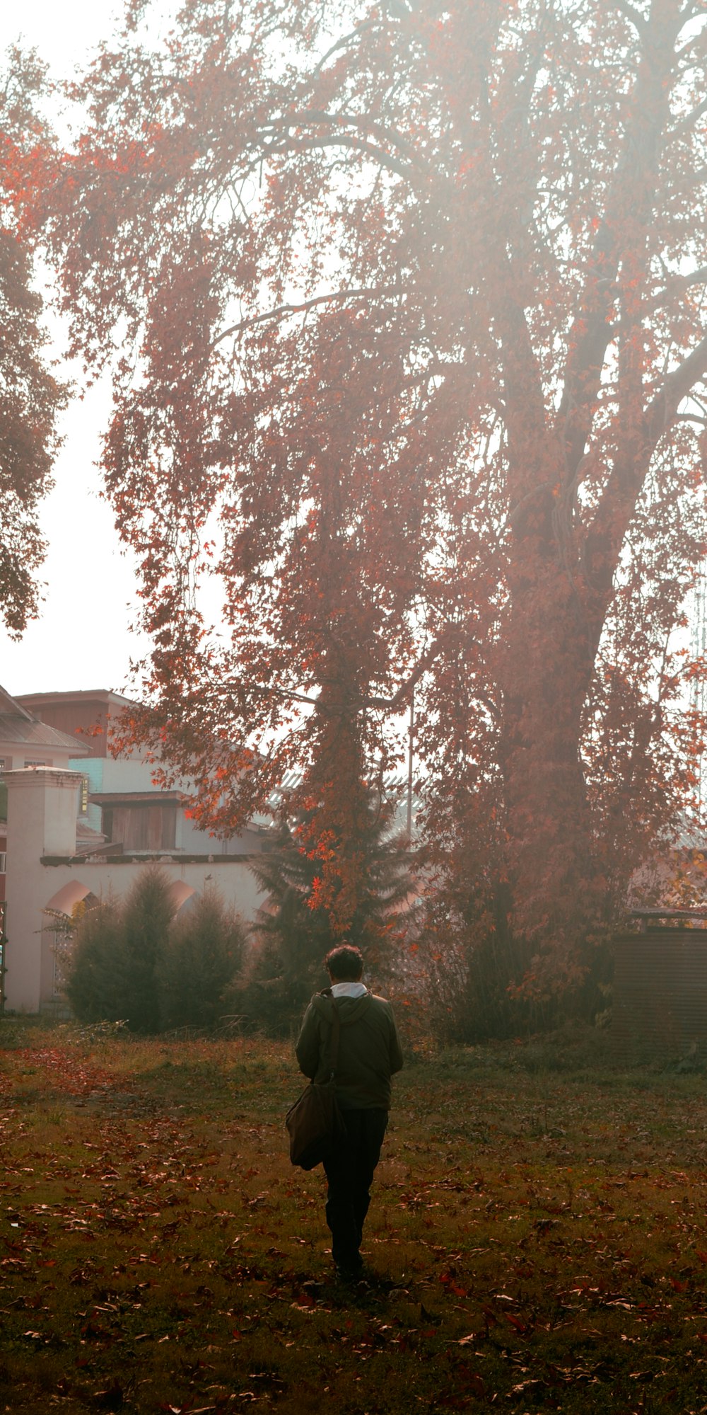 a person walking in a field with a tree in the background