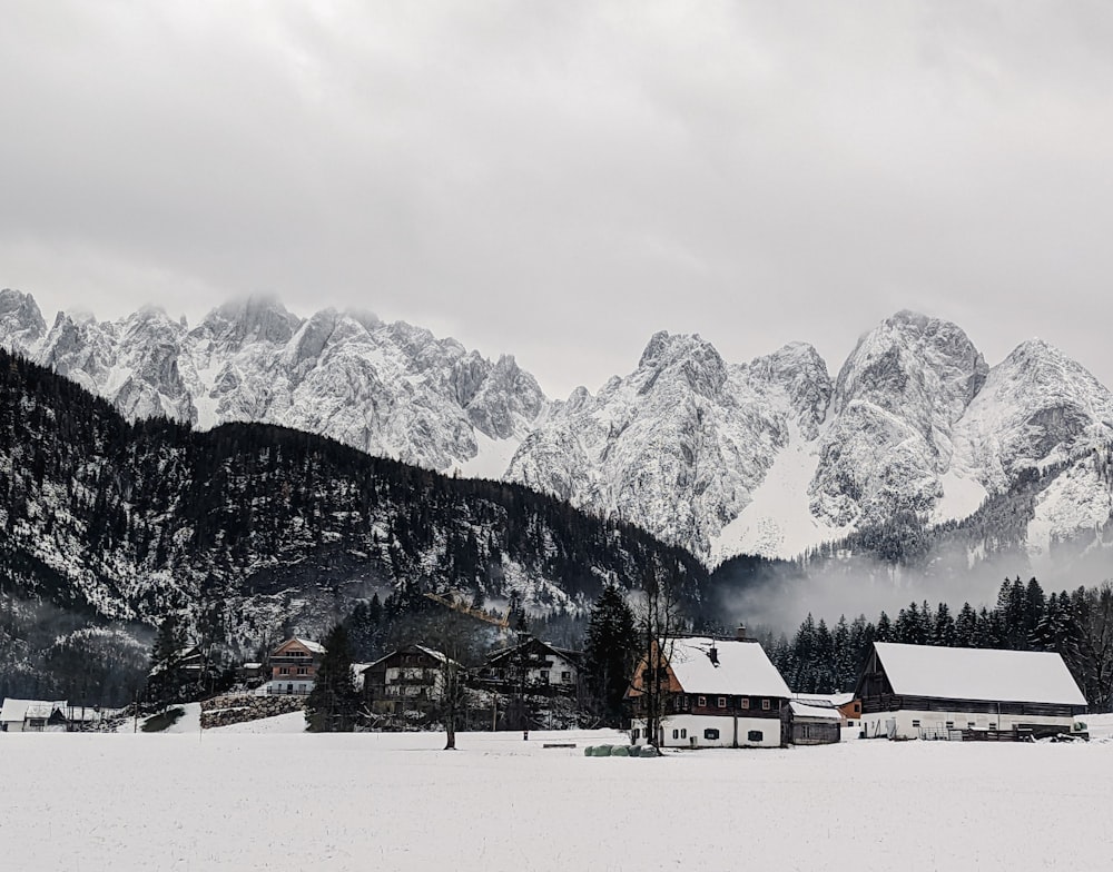 a snowy landscape with a mountain range in the background