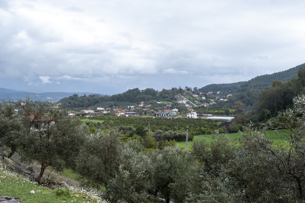 a lush green hillside with a small town in the distance