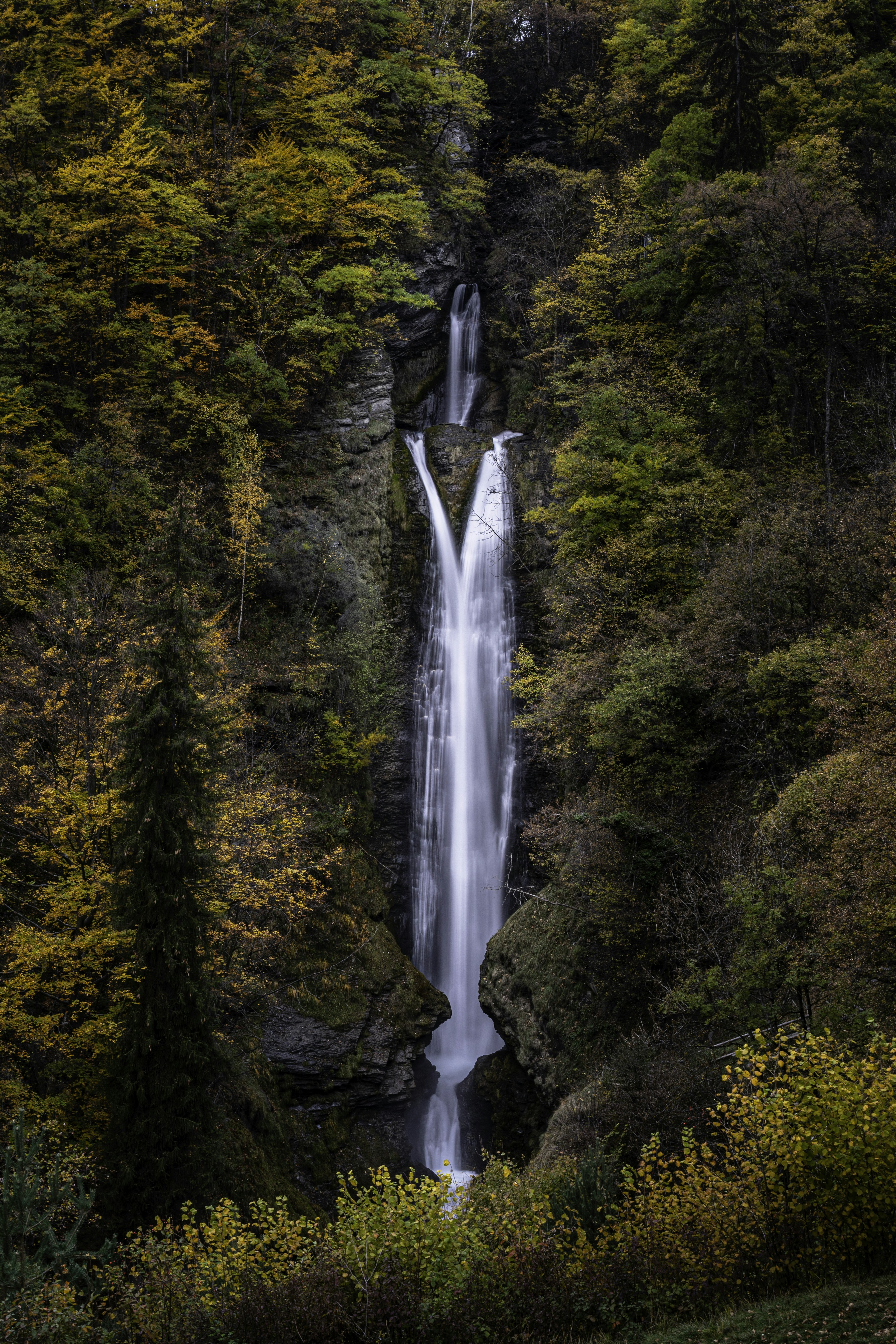 a waterfall in the middle of a forest