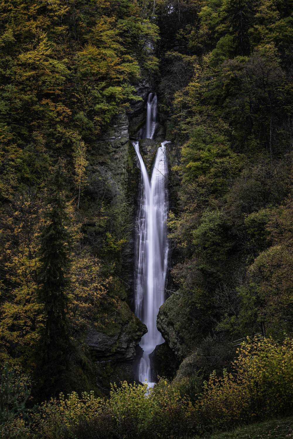 a waterfall in the middle of a forest