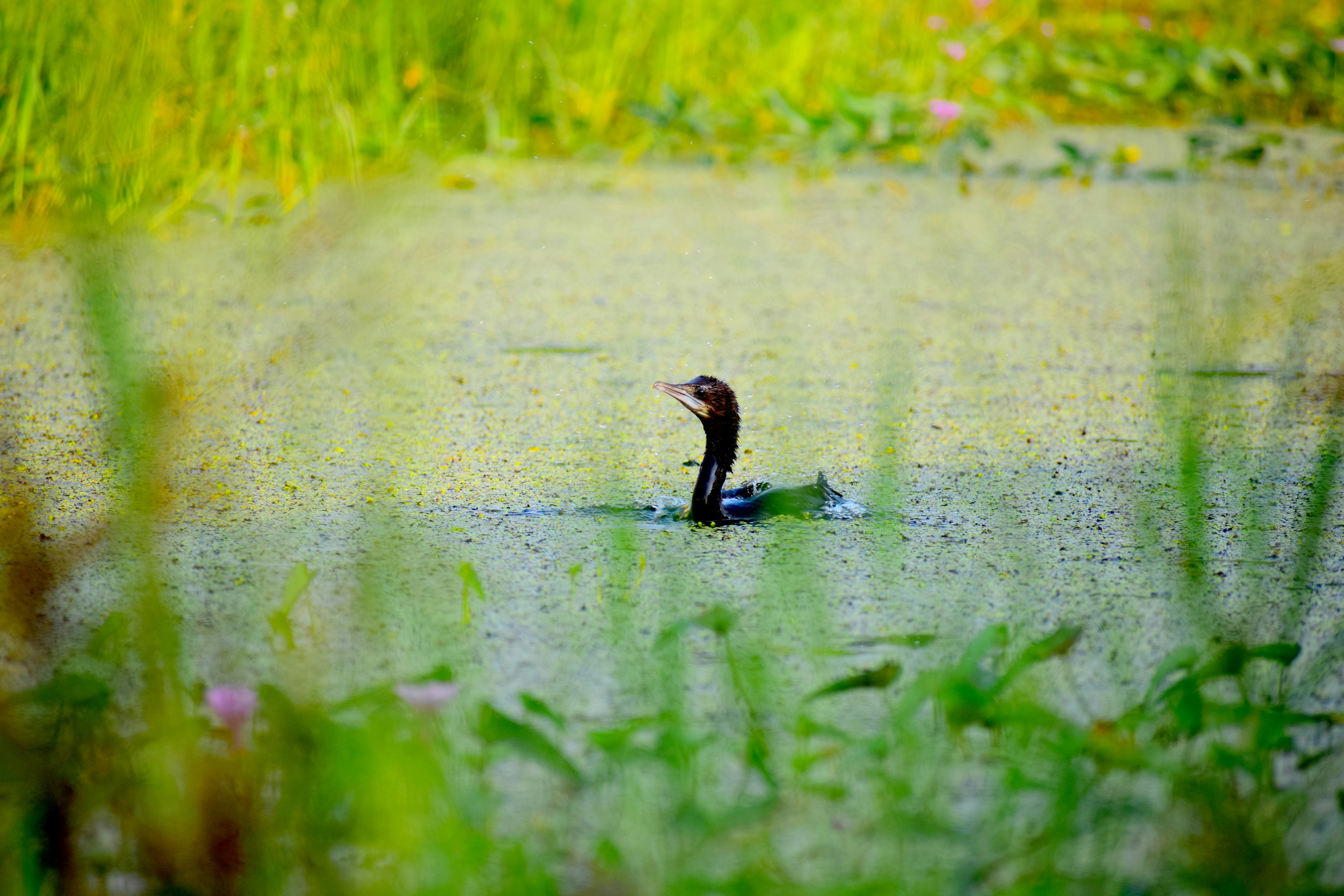 Photo by amitrai10