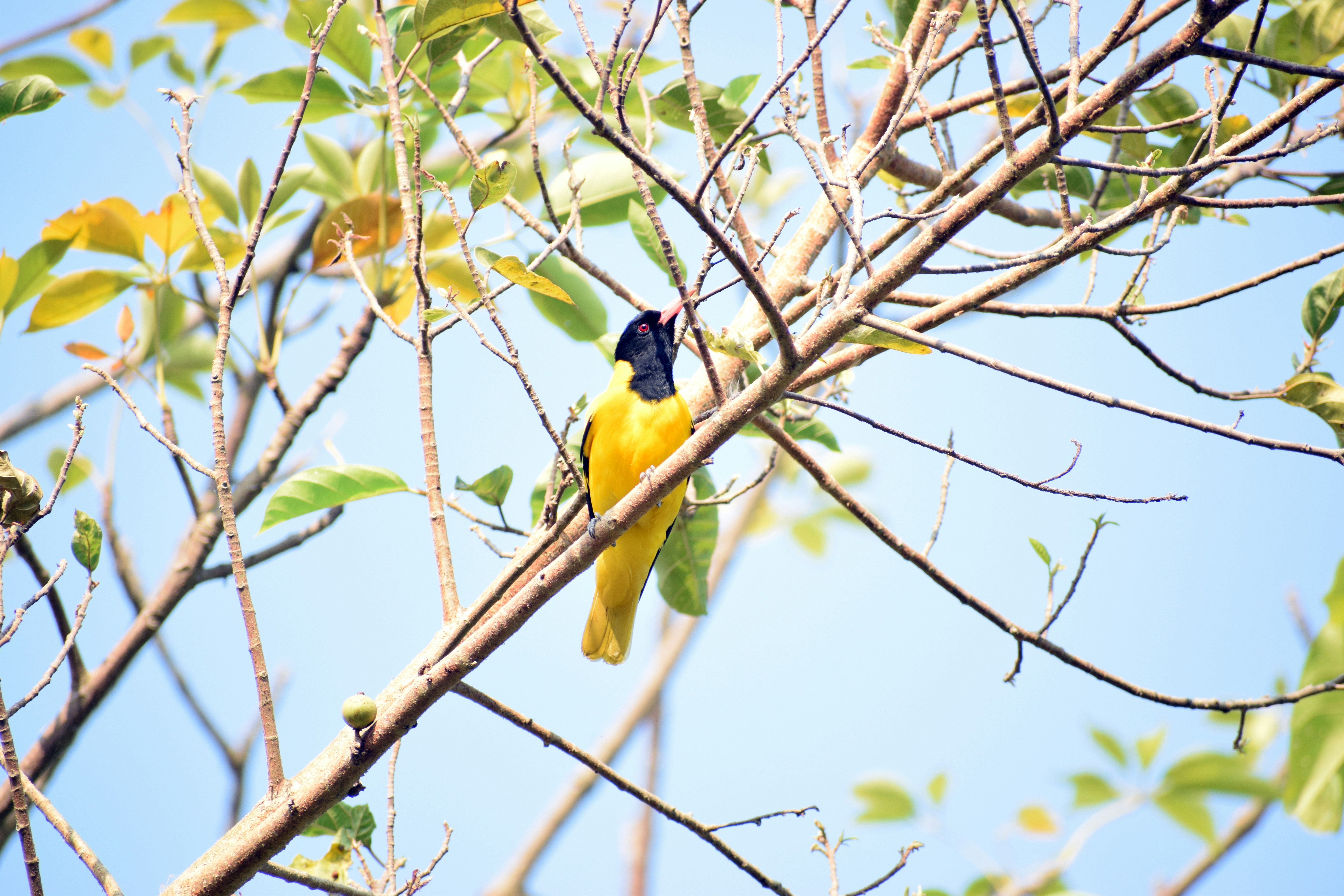 Photo by amitrai10