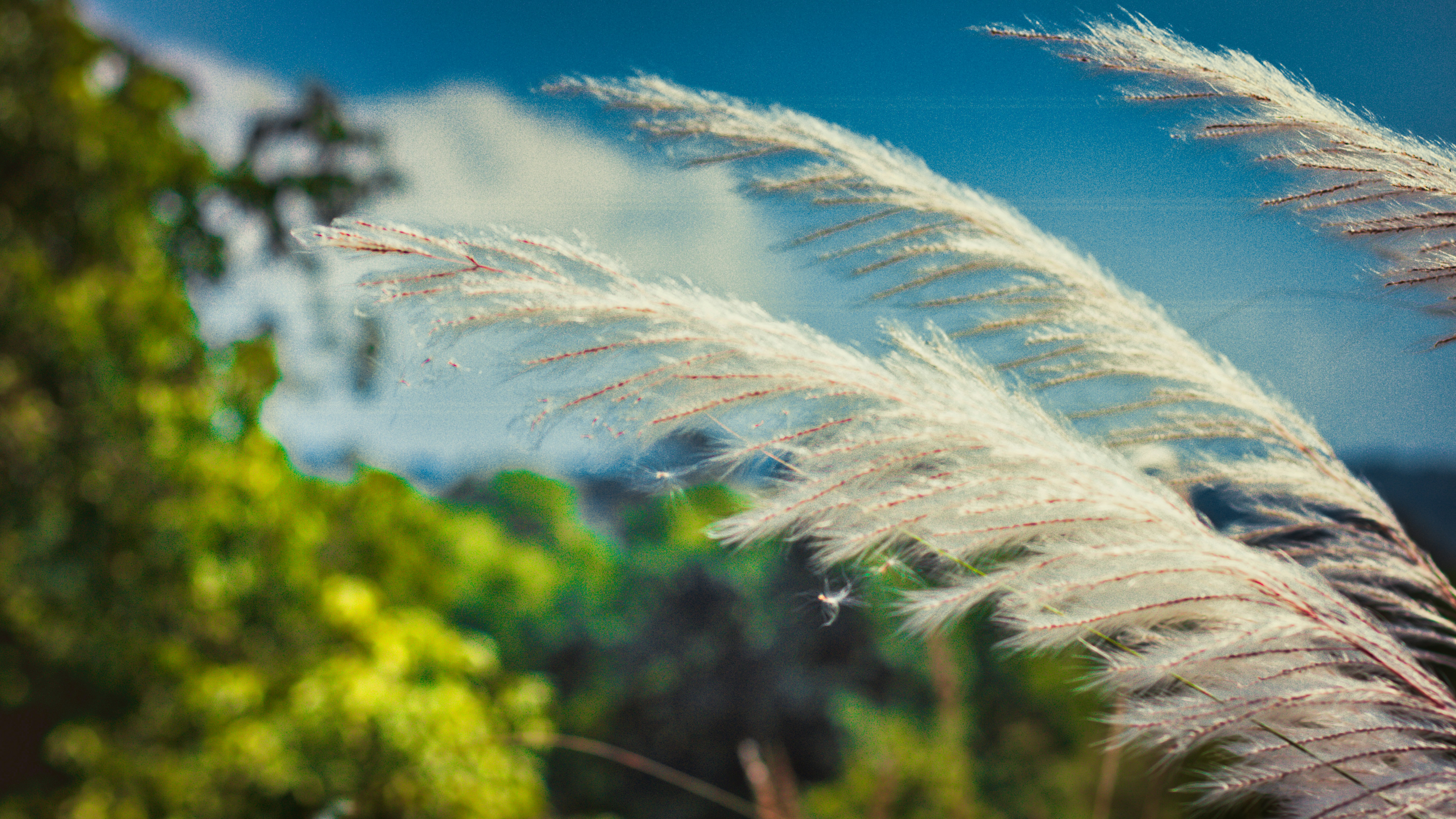 Photo by parihar_saab