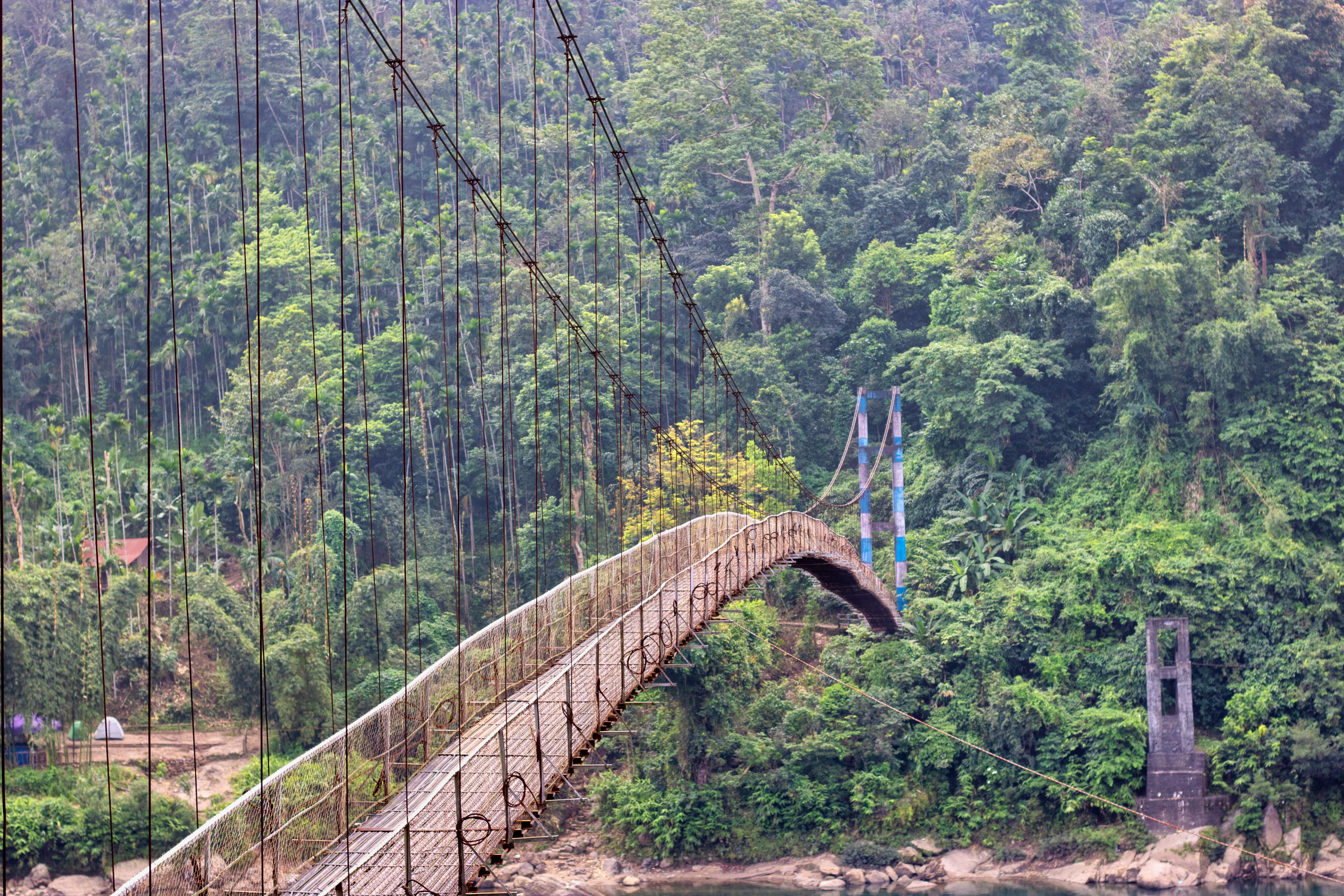 Photo by parihar_saab