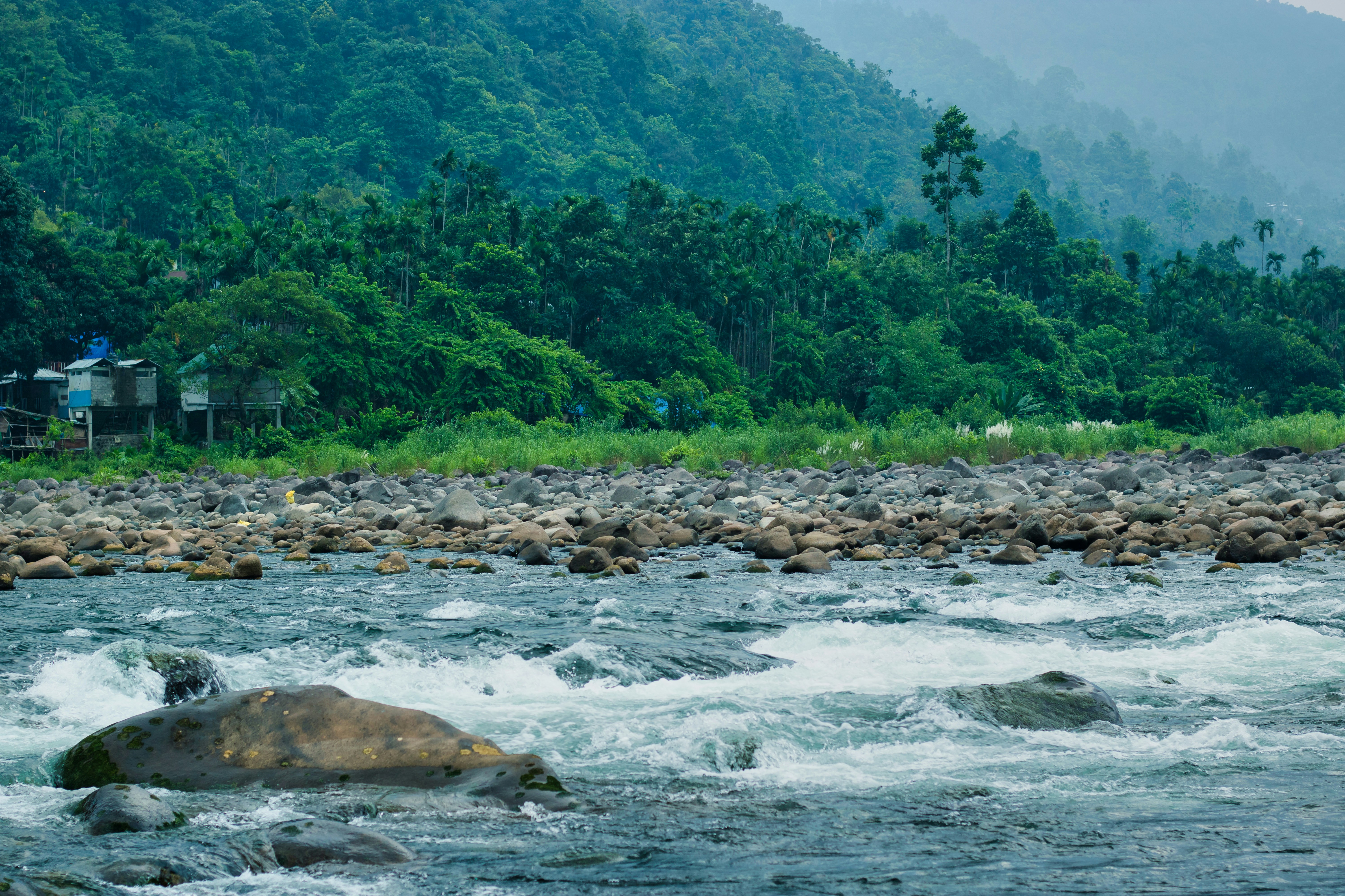 Photo by parihar_saab