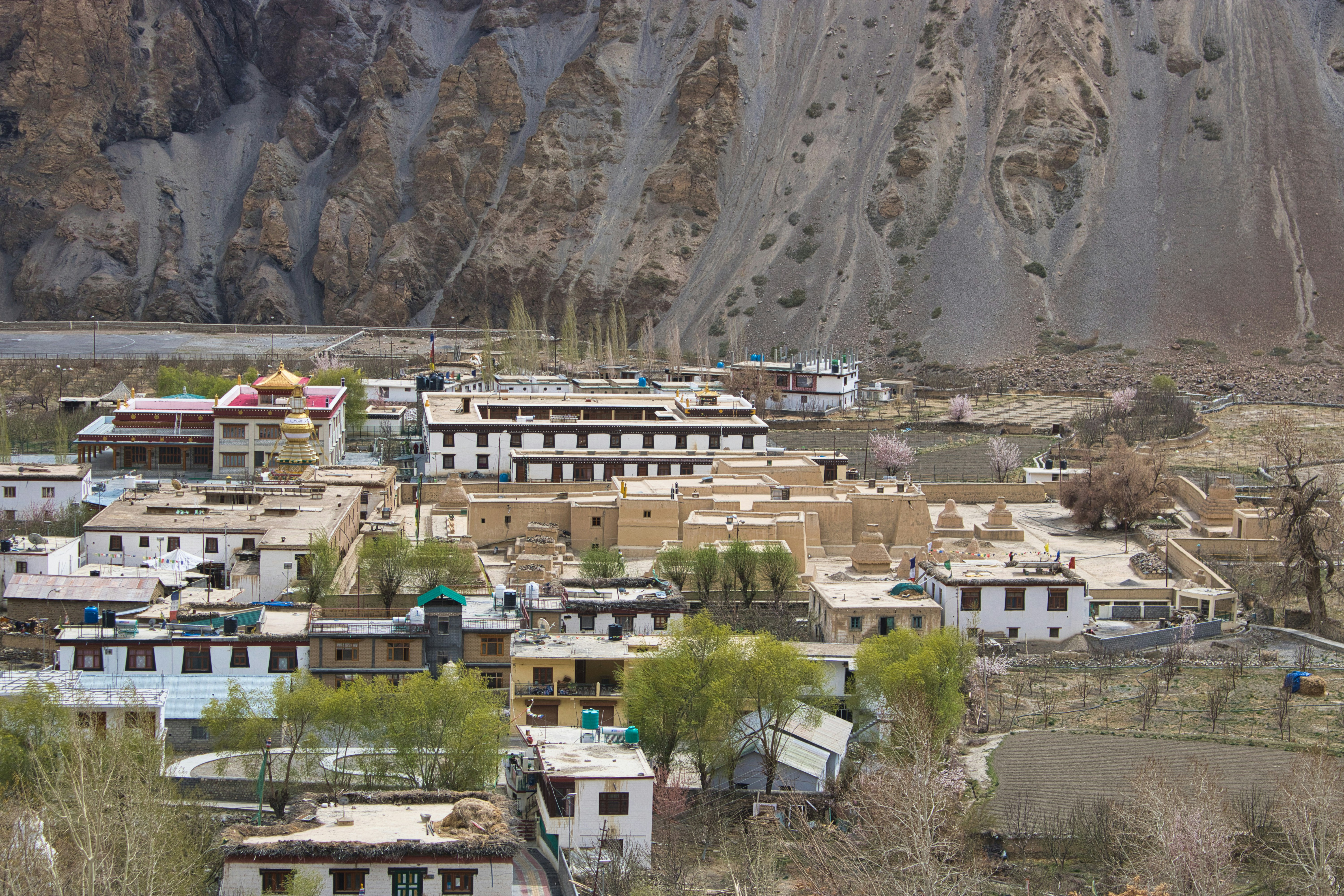 Photo by parihar_saab