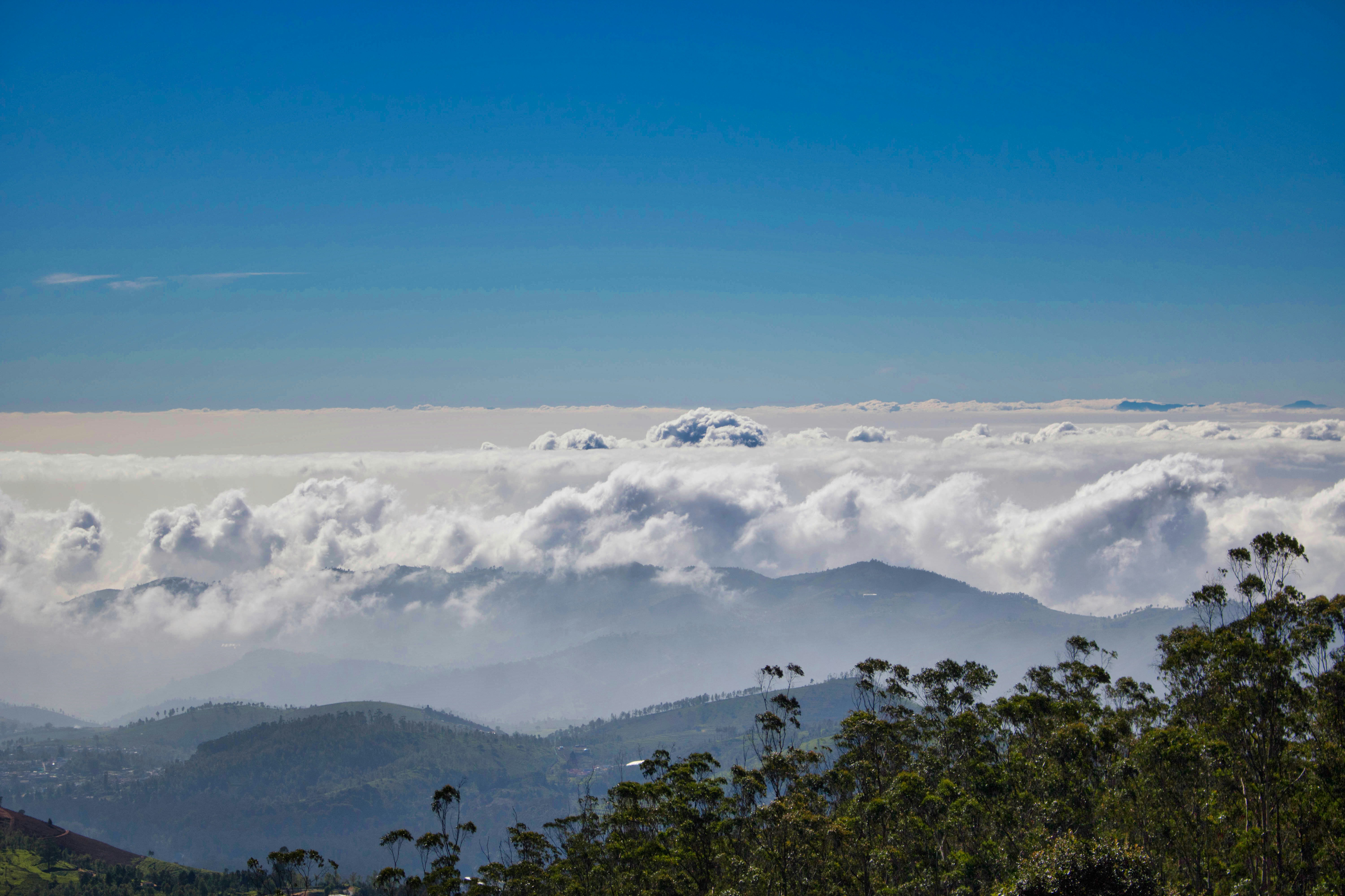 Photo by parihar_saab