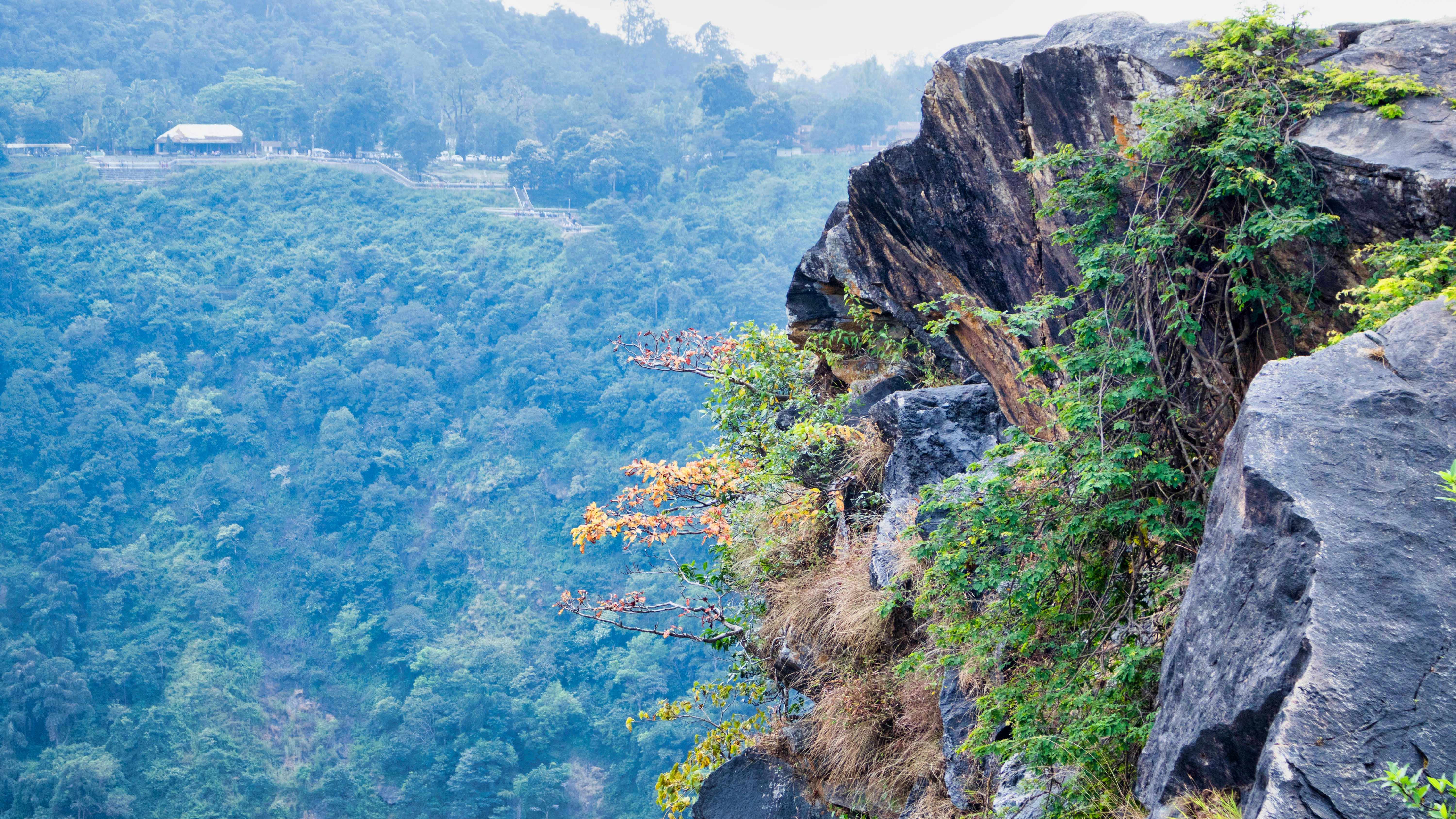 Photo by parihar_saab