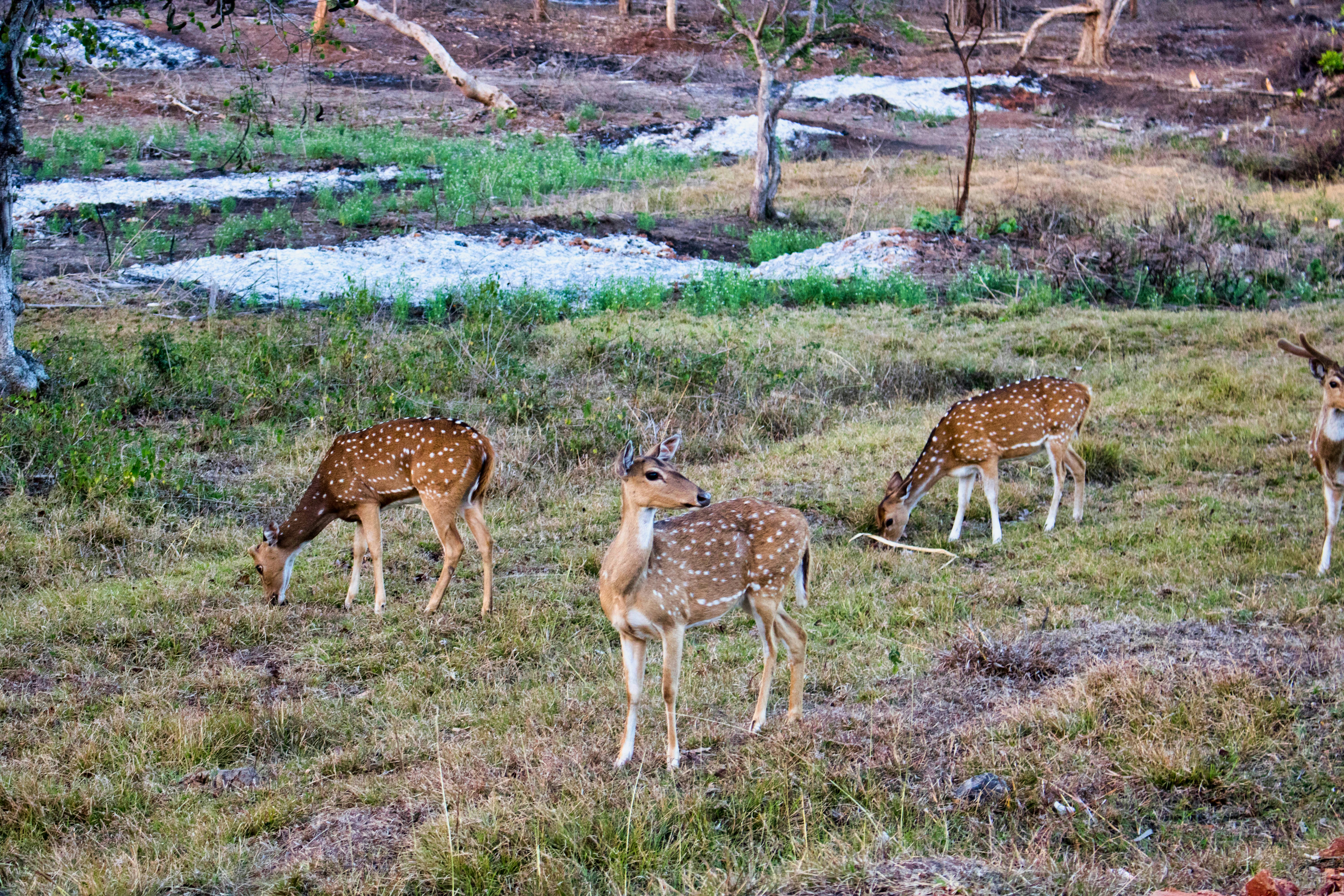 Photo by parihar_saab