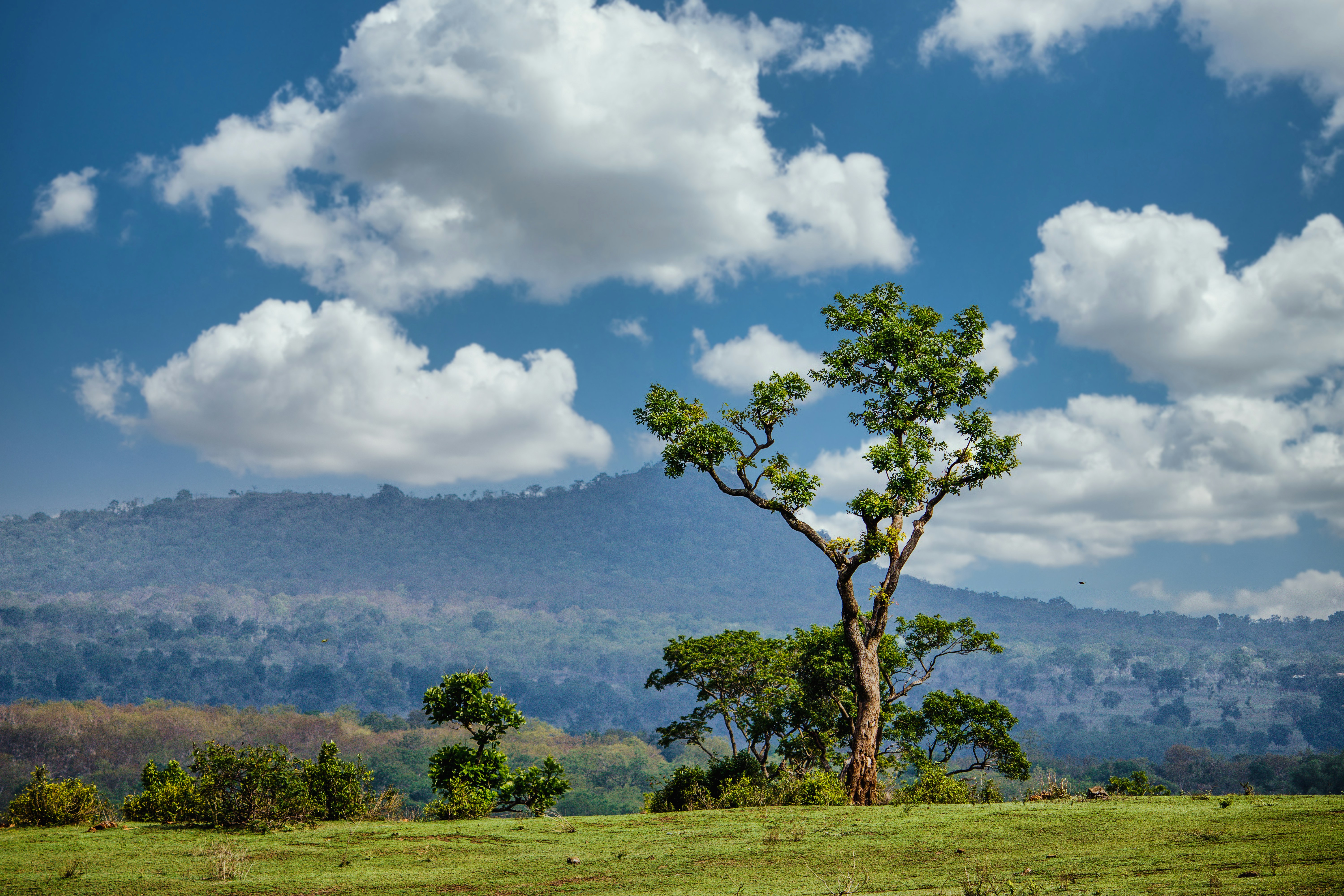 Photo by parihar_saab