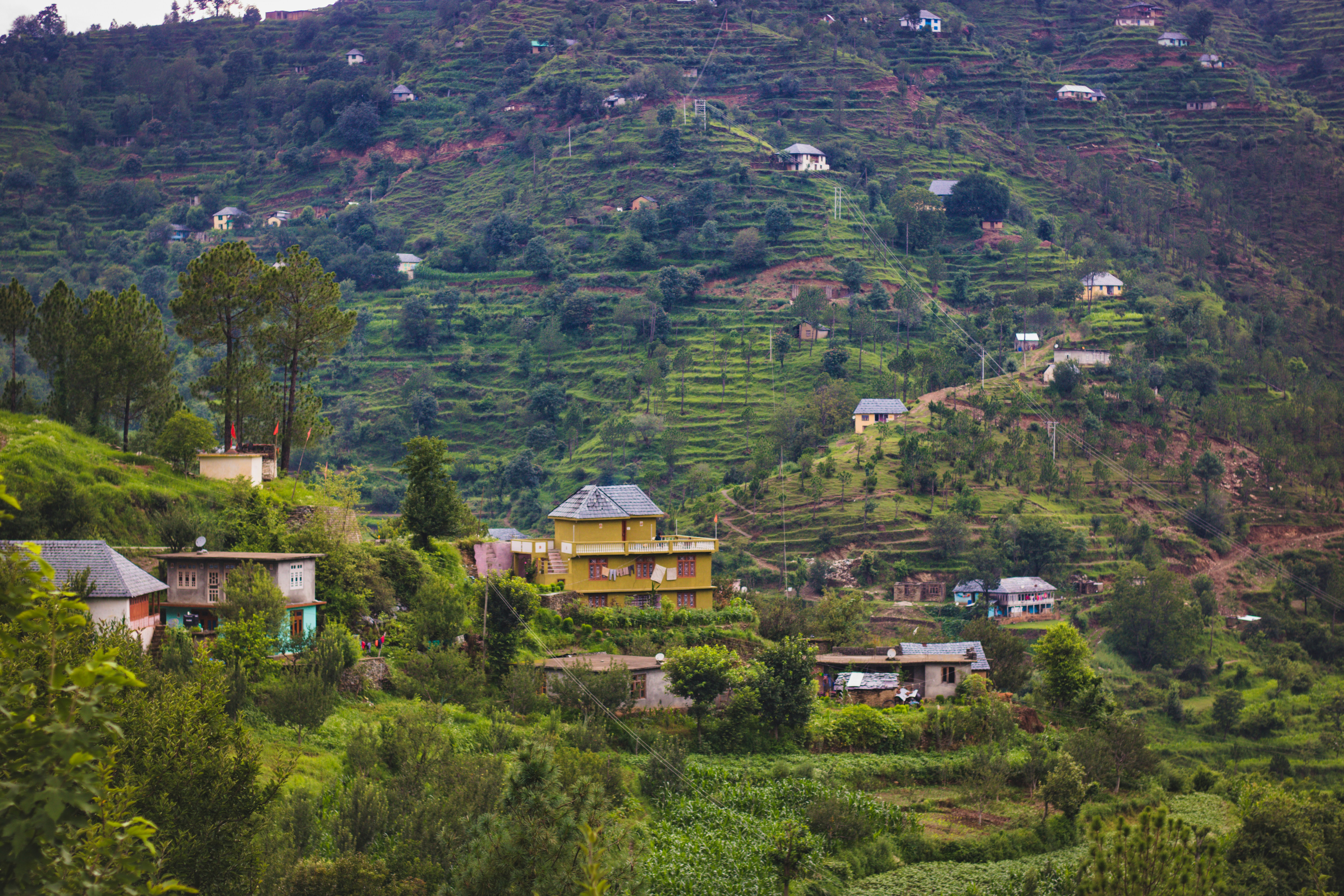 Photo by parihar_saab